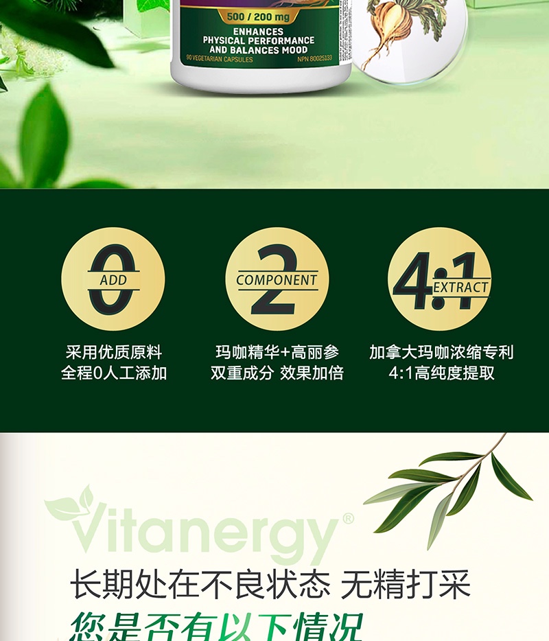 商品[国内直发] Vitanergy|【2025年12月有效期】加拿大维生能Vitanergy玛咖高丽参精华90粒/瓶 补肾养精 提高活力 | Vitanergy Maca w/Ginseng VCAP 90【2025年12月有效期】,价格¥199,第2张图片详细描述