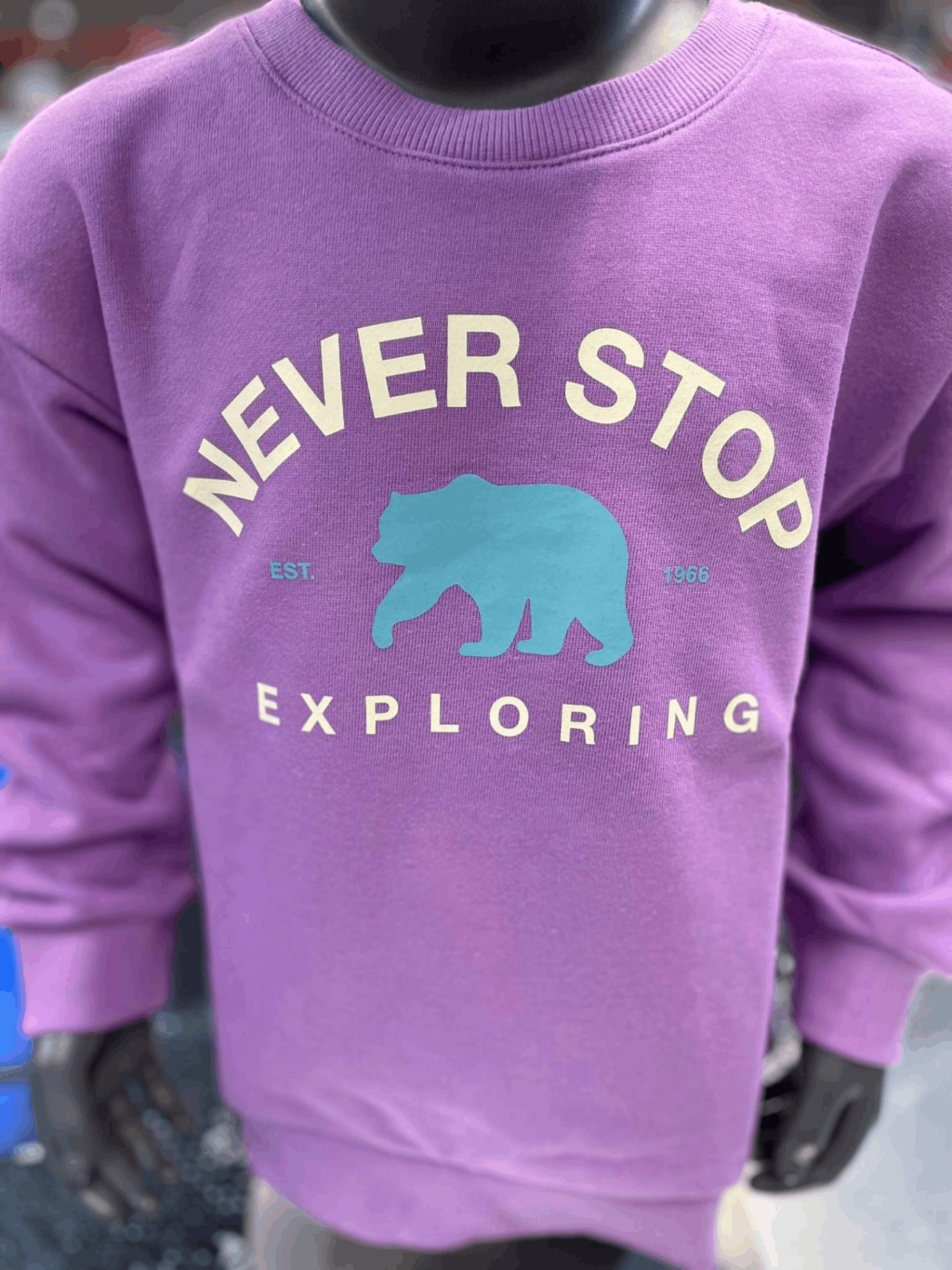商品The North Face|【Brilliant|包邮包税】北面 NM5MN56U 儿童 长袖T恤 SWEATSHIRT 衬衣 K'S BALBOA SWEATSHIRT,价格¥380,第3张图片详细描述