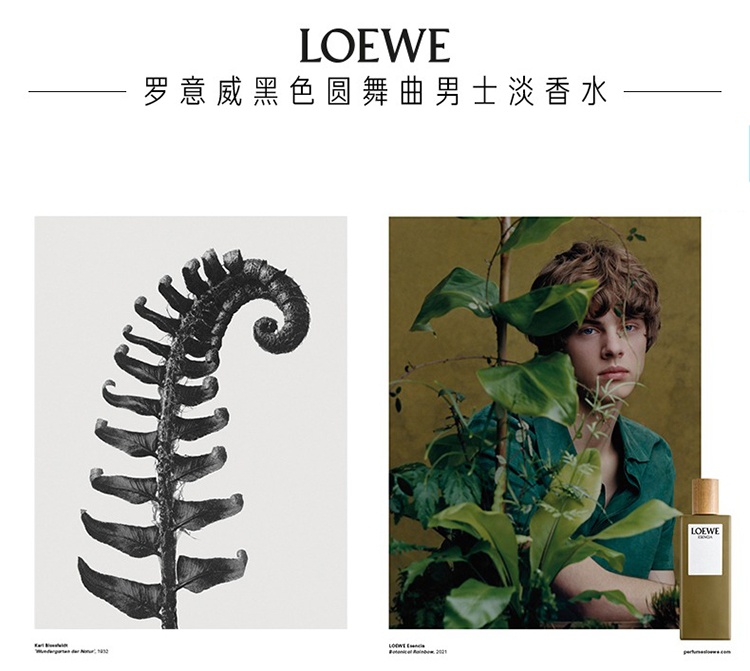 商品Loewe|Loewe罗意威黑色圆舞曲男士香水50-100ML EDT淡香水 持久自然,价格¥560,第2张图片详细描述