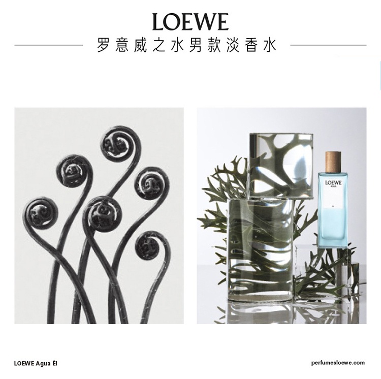 商品Loewe|Loewe罗意威之水彩虹系列男女士香水50-100-150ml EDT淡香水 ,价格¥505,第4张图片详细描述