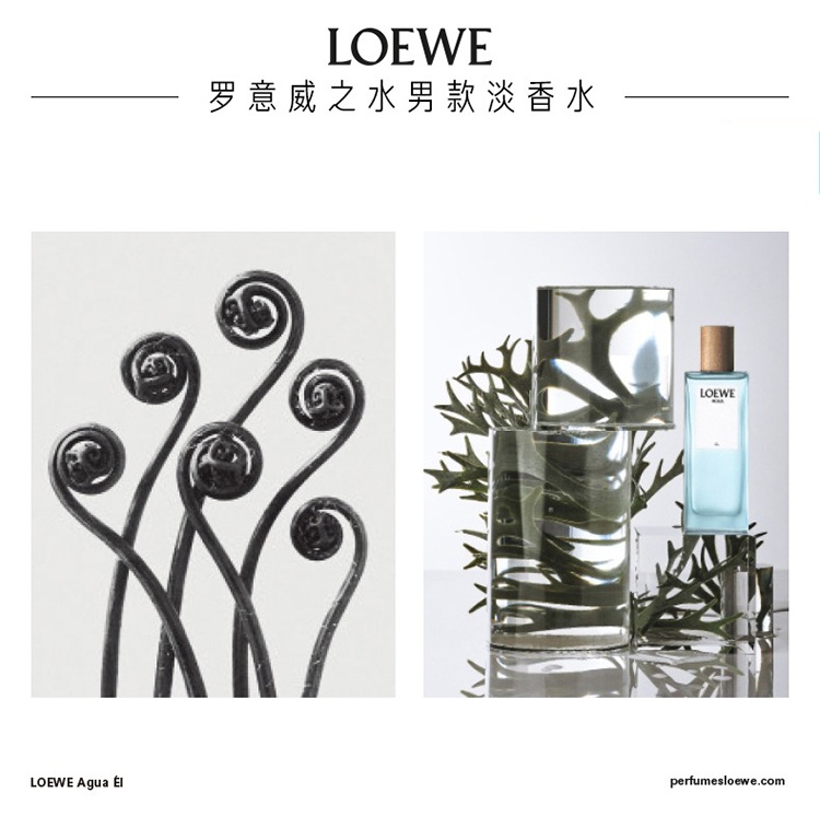 商品Loewe|Loewe罗意威之水彩虹系列男女士香水50-100-150ml EDT淡香水 ,价格¥417,第2张图片详细描述