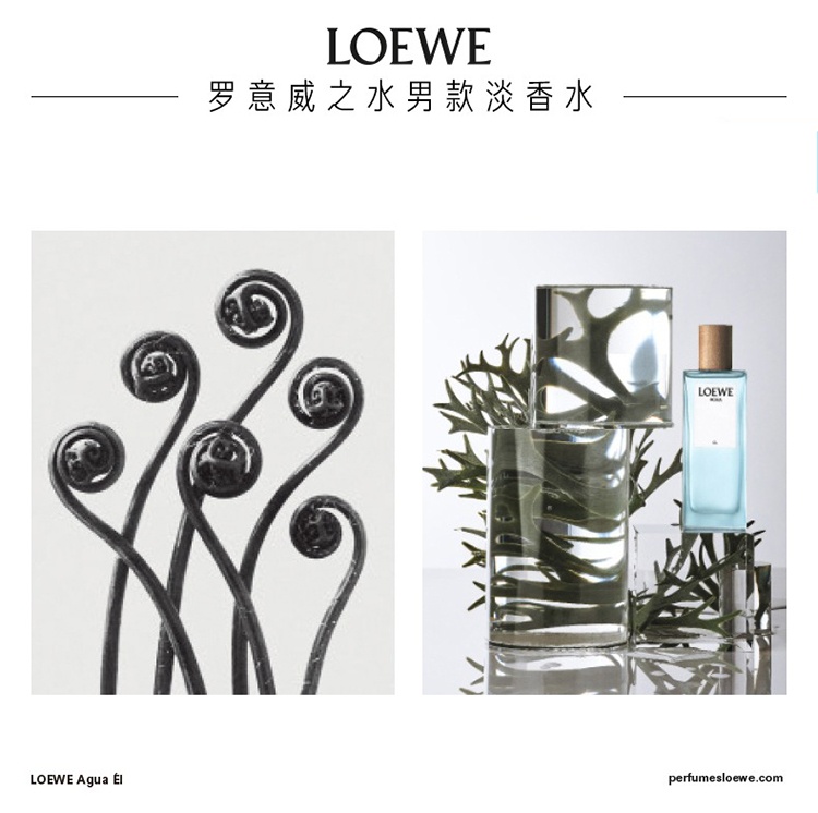 商品Loewe|Loewe罗意威之水彩虹系列男女士香水50-100-150ml EDT淡香水 ,价格¥424,第2张图片详细描述