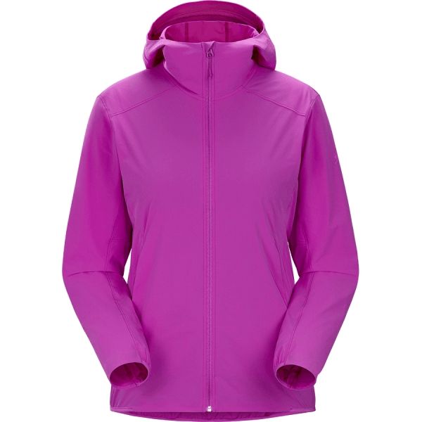 商品Arc'teryx|【Brilliant|包邮包税】始祖鸟 GAMMA LIGHTWEIGHT HOODY W[SS23] 新款上市 Gamma 女款轻便连帽衫 AJNSWX6697,价格¥2363,第5张图片详细描述