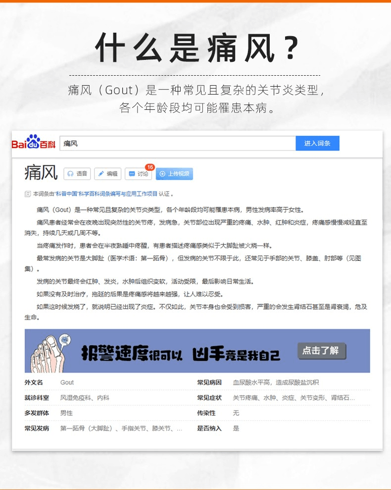 商品Hisamitsu|日本帝人非布司他片,价格¥483,第6张图片详细描述