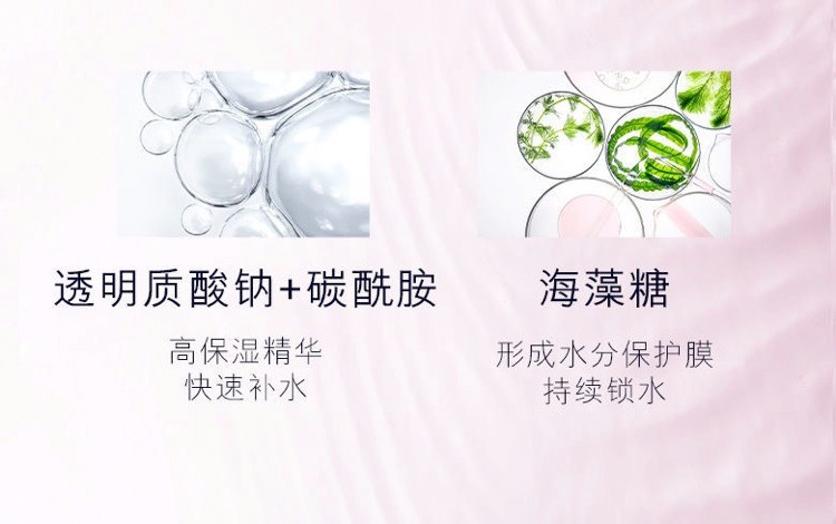 商品[国内直发] Estée Lauder|雅诗兰黛 保湿柔肤水 400ml （单位：瓶）,价格¥240,第4张图片详细描述