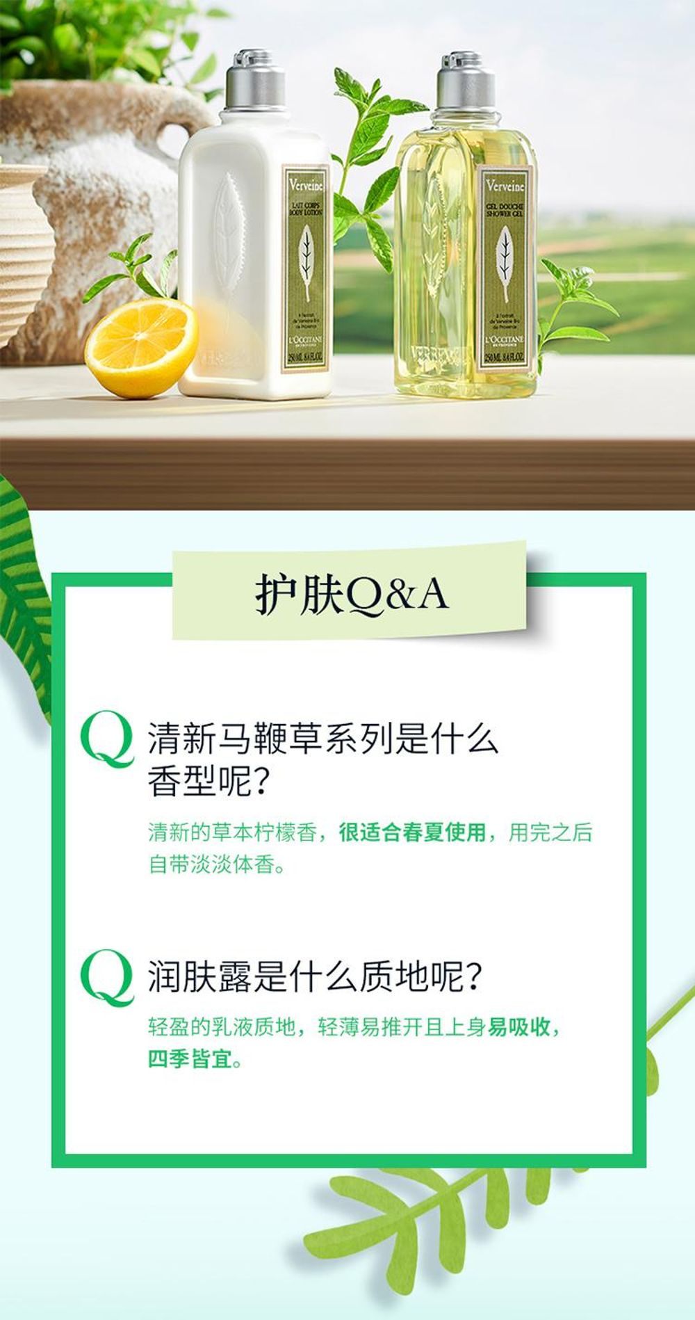商品L'Occitane|欧舒丹清新马鞭草洗护套装 沐浴露250ml+身体乳250ml,价格¥261,第4张图片详细描述