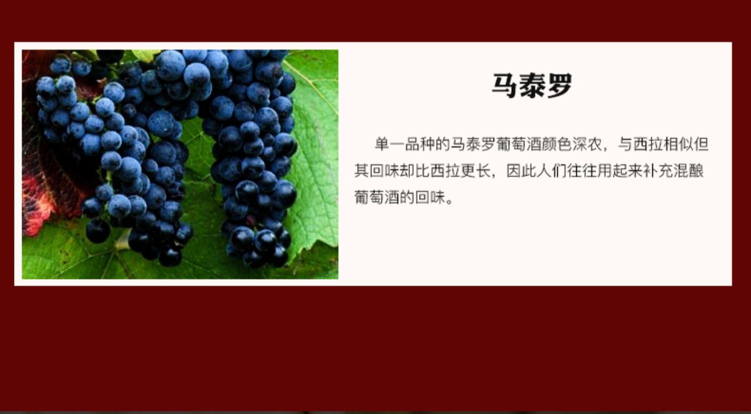 商品[国内直发] Penfolds|原装进口奔富BIN138设拉子干红葡萄酒勃艮第瓶红酒750ml假一赔十支持验证,价格¥559,第5张图片详细描述