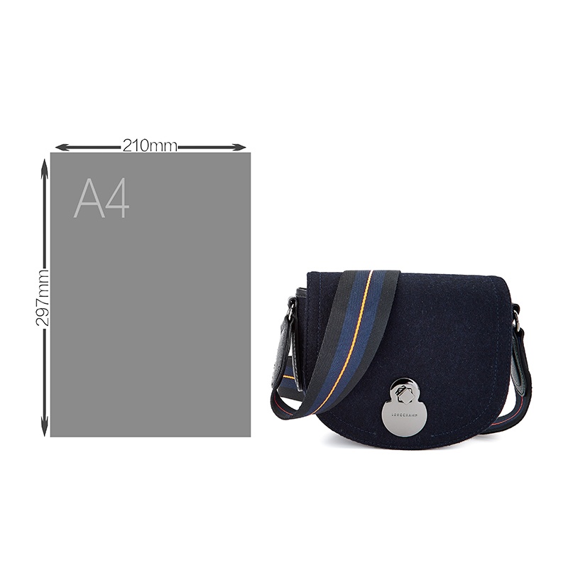 商品[国内直发] Longchamp|珑骧女包奢侈品 女士羊毛单肩斜挎包马鞍包L1395 HXM 006,价格¥1846,第8张图片详细描述
