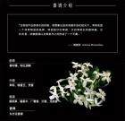 商品Van Cleef & Arpels|Van Cleef & Arpels梵克雅宝 梵克雅宝香水珍藏系列 75ml 中性香水 「珍贵乌木」女性香水,价格¥940,第5张图片详细描述