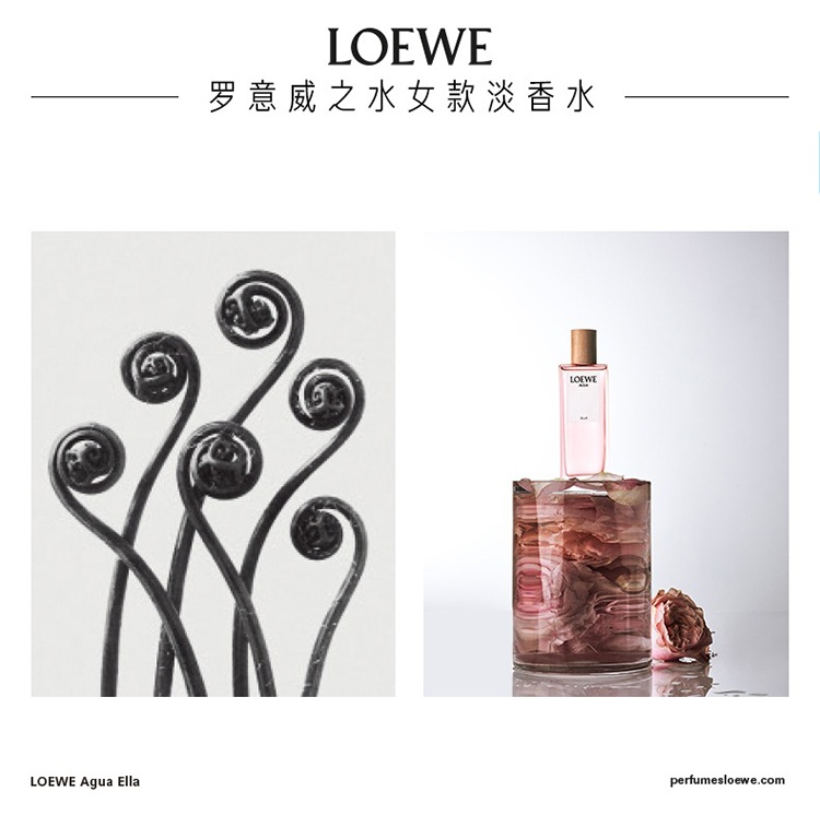 商品Loewe|Loewe罗意威之水彩虹系列男女士香水50-100-150ml EDT淡香水 ,价格¥417,第5张图片详细描述