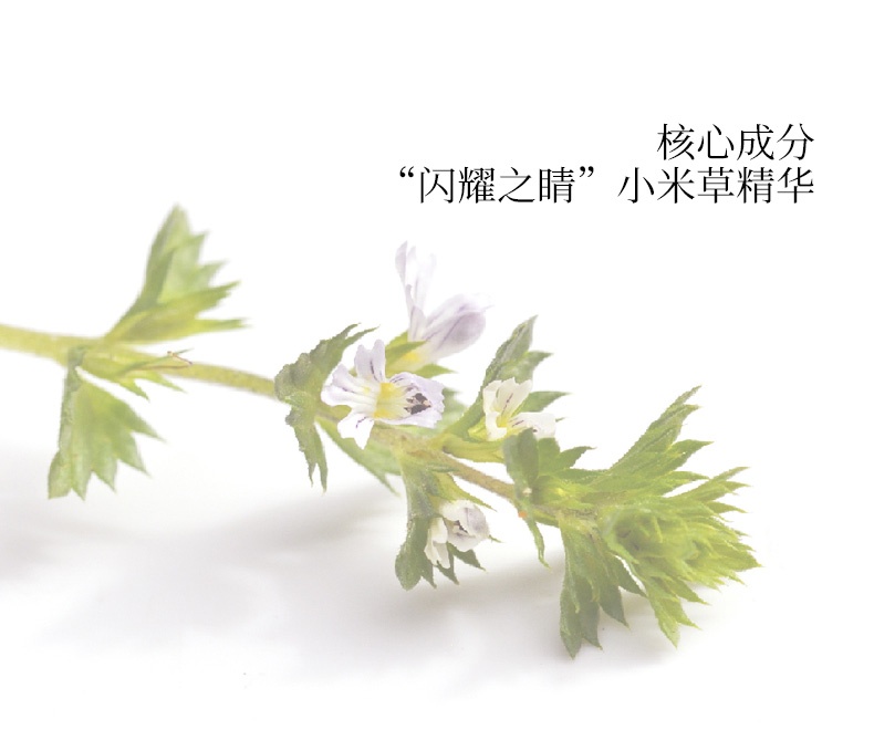 商品[国内直发] AXXZIA|AXXZIA晓姿睛彩铂金蚕丝眼膜60枚淡黑眼圈细纹眼袋,价格¥317,第5张图片详细描述
