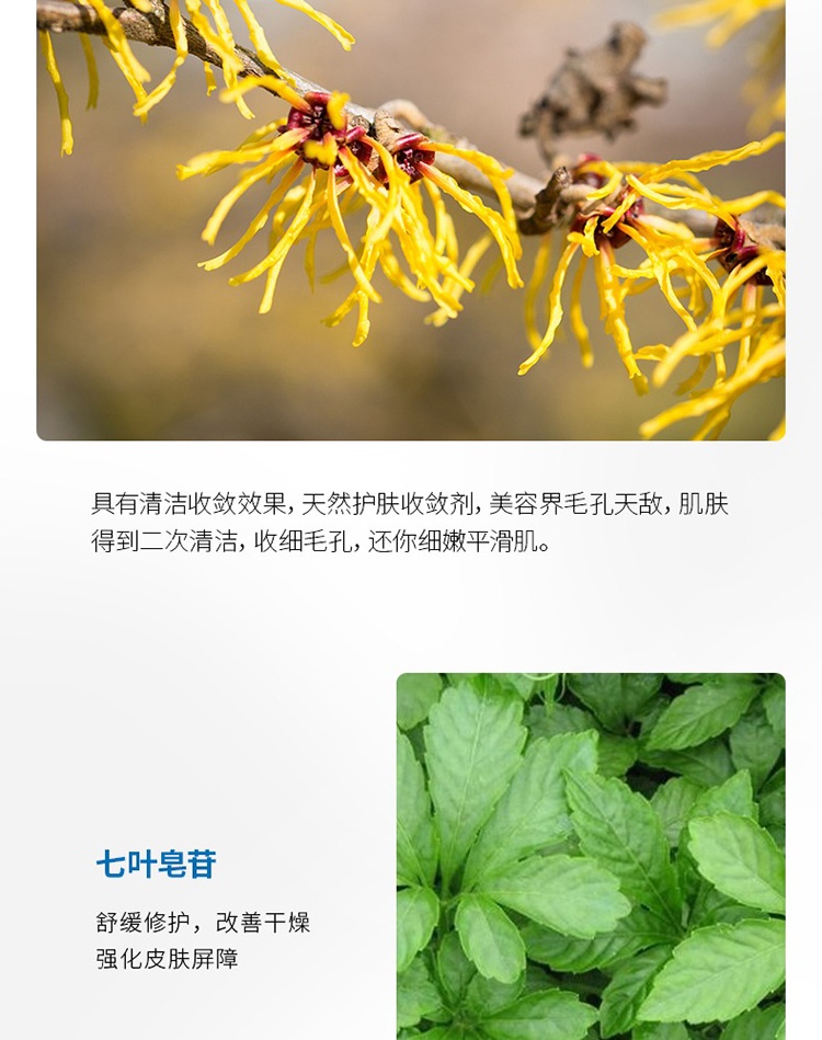 商品Nescens|Nescens妮尚希焕彩凝胶眼膜30ml,价格¥778,第5张图片详细描述