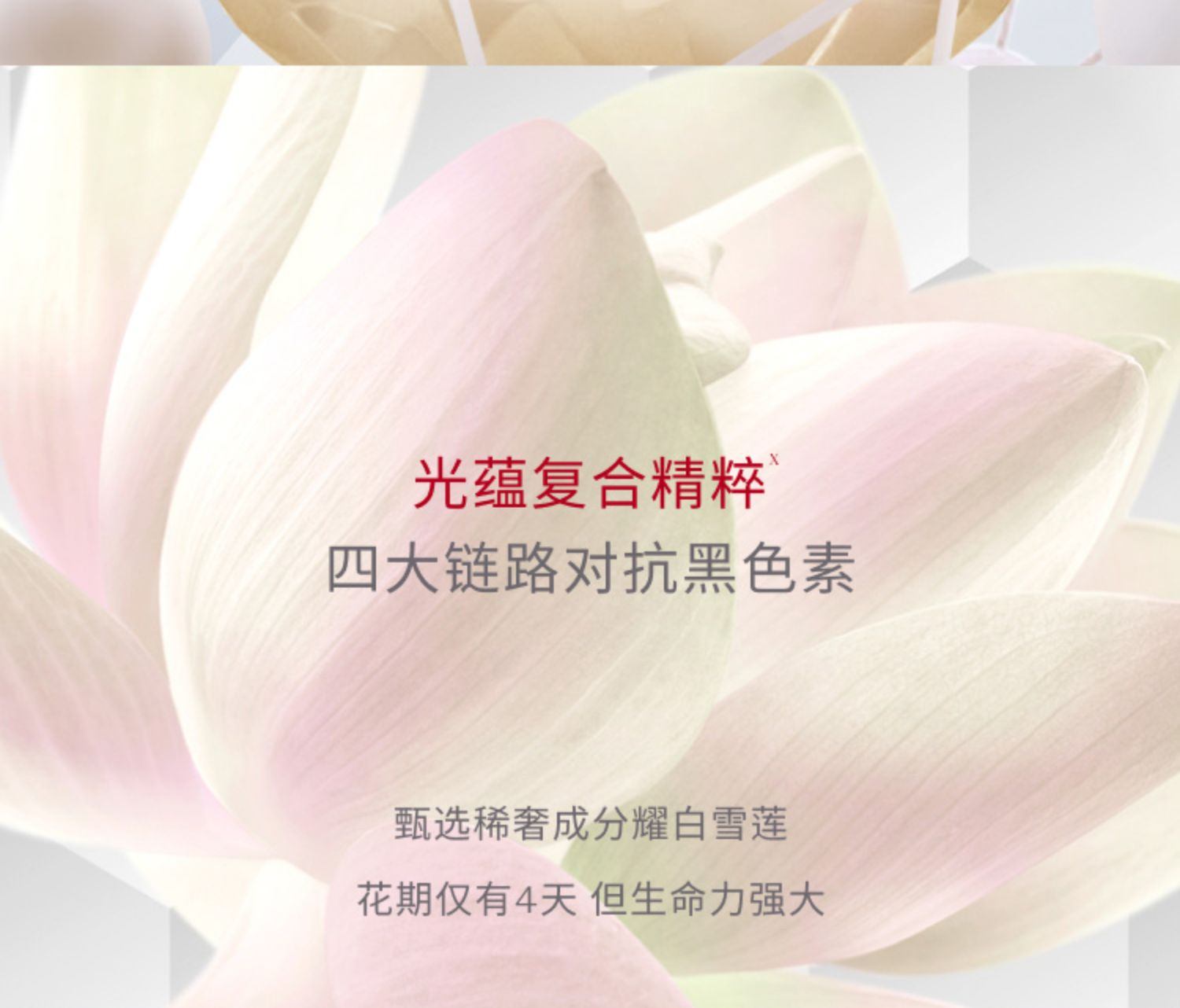 商品SK-II|【新人专享】SK-II 光蕴臻采小灯泡美白淡斑精华 50ml 解析透白光蕴肌密,价格¥892,第10张图片详细描述