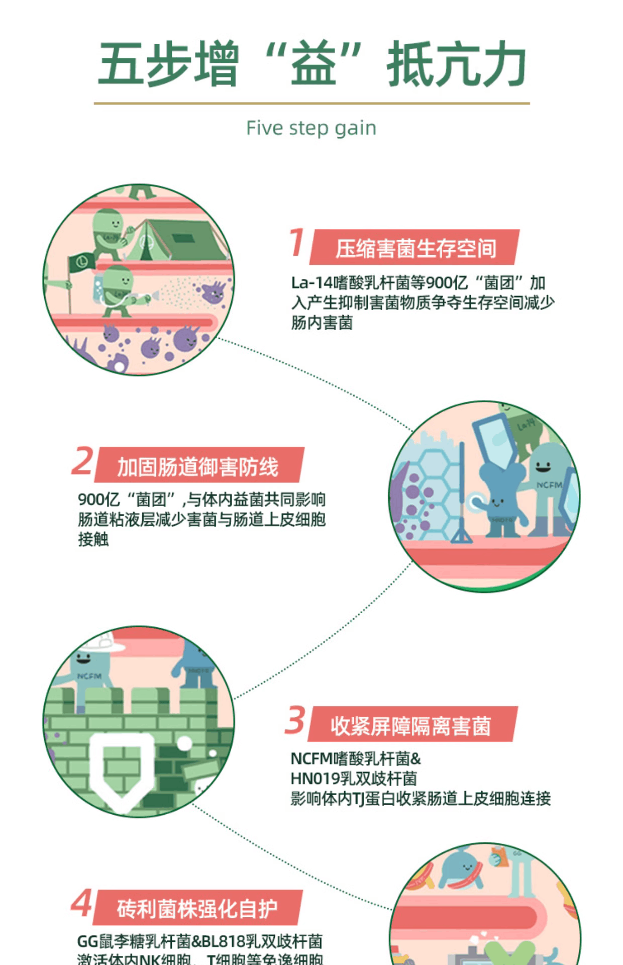 商品[国内直发] Garden of Life|garden of life雀巢生命花园900亿免疫益生菌胶囊成人调理肠胃,价格¥435,第5张图片详细描述