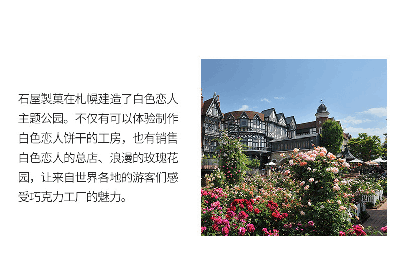 商品Shiroi Koibito|【国内现货】白色恋人白巧克力北海道牛奶夹心饼干12枚礼盒装,价格¥78,第8张图片详细描述