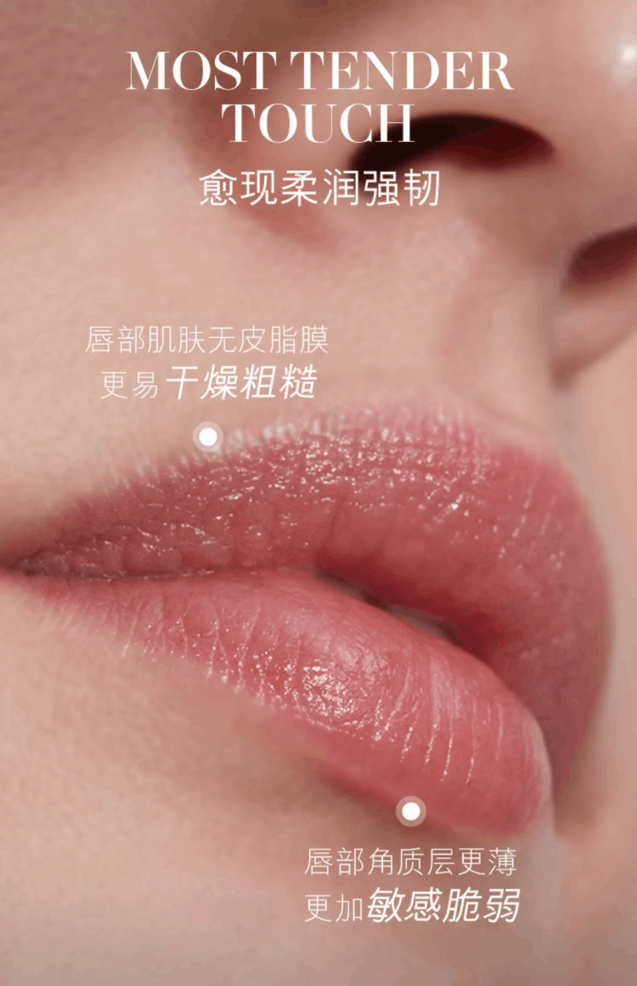 商品La Mer|LA MER 海蓝之谜 润唇膏唇霜保湿滋润唇膜打底9g 香港直邮-9g,价格¥353,第2张图片详细描述