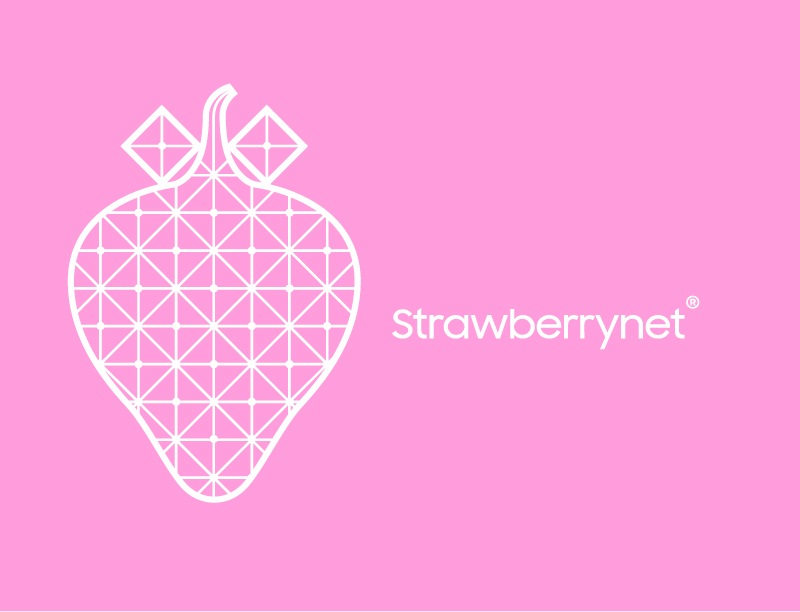 商家Strawberrynet图标
