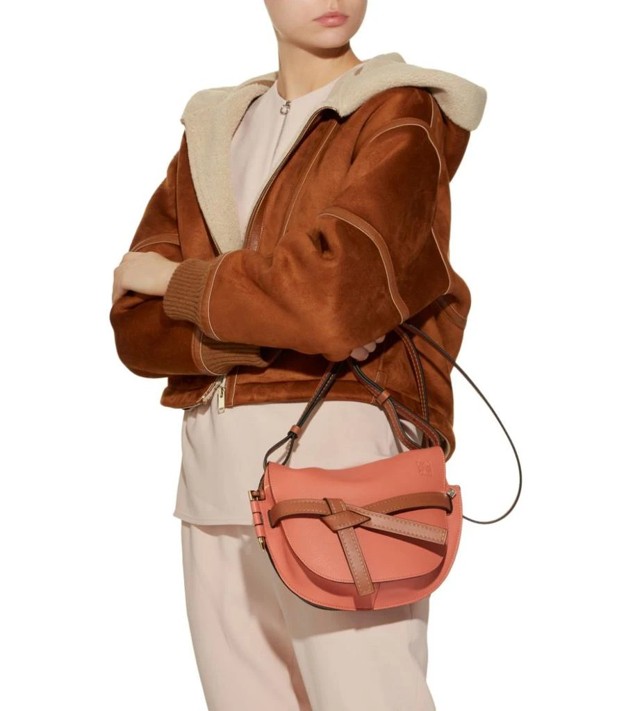 商品Loewe|Gate 小号斜挎包,价格¥13622,第2张图片详细描述