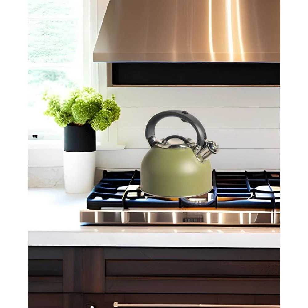 商品Oggi|1.9 Litre Whistling Tea Kettle,价格¥437,第3张图片详细描述