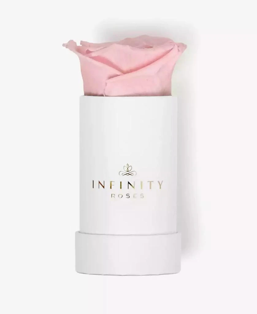 商品Infinity Roses|Single Pink Real Rose Preserved To Last Over A Year,价格¥299,第3张图片详细描述