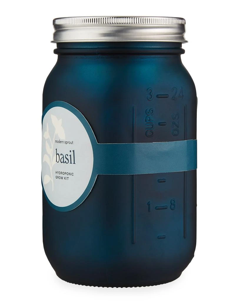 商品Modern Sprout|Garden Jar - Basil,价格¥94,第3张图片详细描述