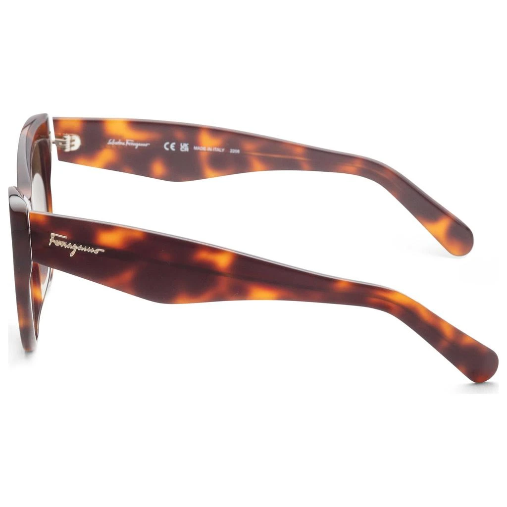 商品Salvatore Ferragamo|Ferragamo Women's Sunglasses SF930S-238,价格¥487,第2张图片详细描述