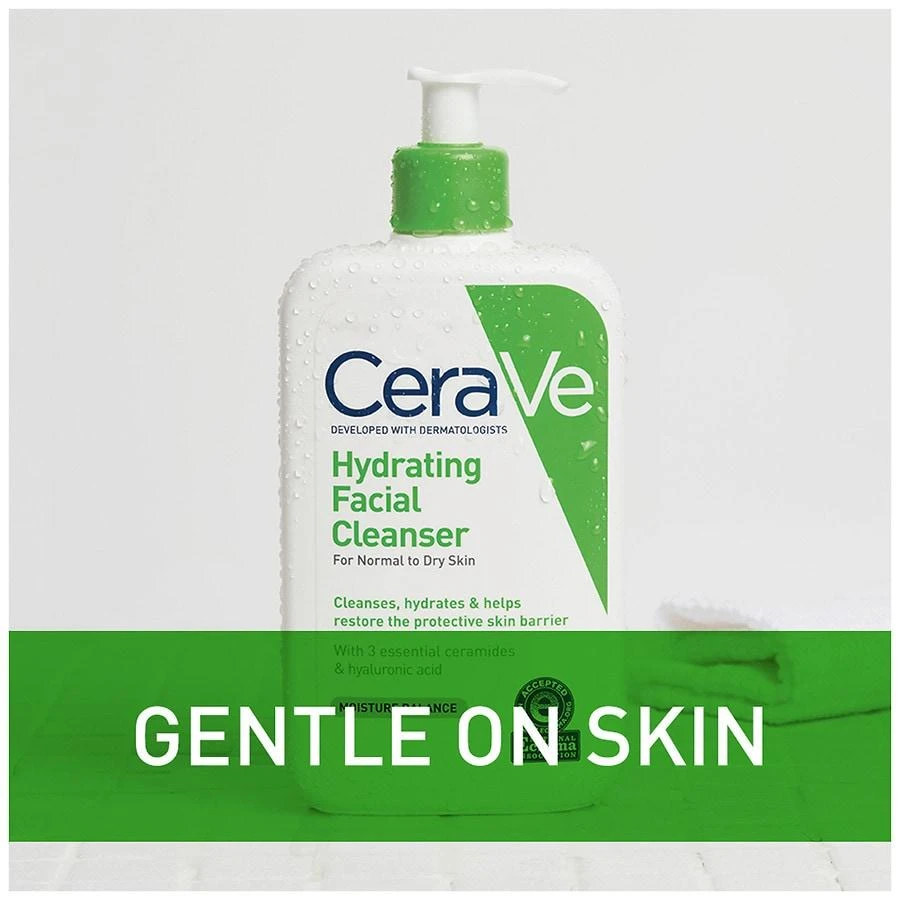 Hydrating Facial Cleanser 商品