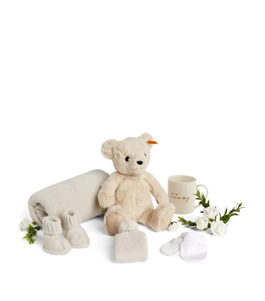 商品Bumbles & Boo|New Mum and Baby Hamper,价格¥7201,第2张图片详细描述