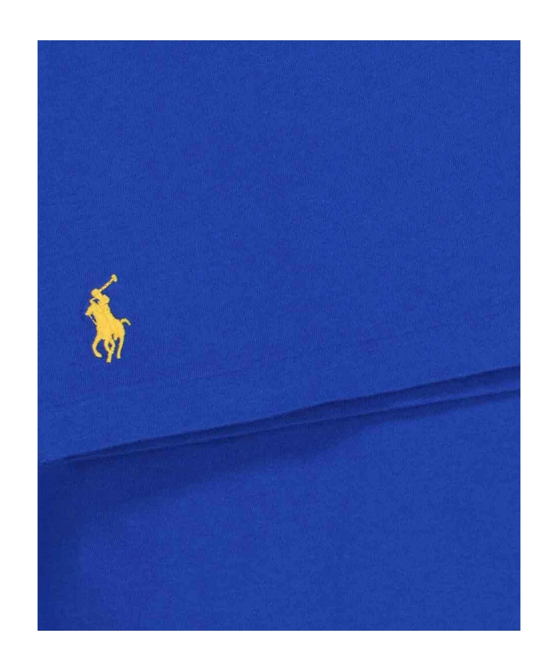 商品【商品预售7天】 Ralph Lauren|Ralph Lauren 男士T恤 710961130002 蓝色,价格¥918,第4张图片详细描述