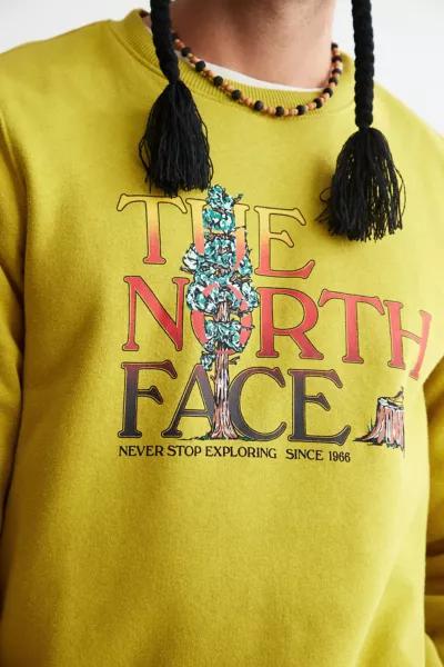 The North Face Never Stop Exploring Crew Neck Sweatshirt商品第3张图片规格展示