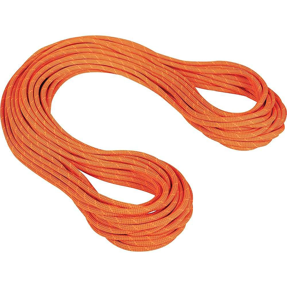 商品Mammut|Mammut 9.8 Crag Dry Rope,价格¥2239,第1张图片