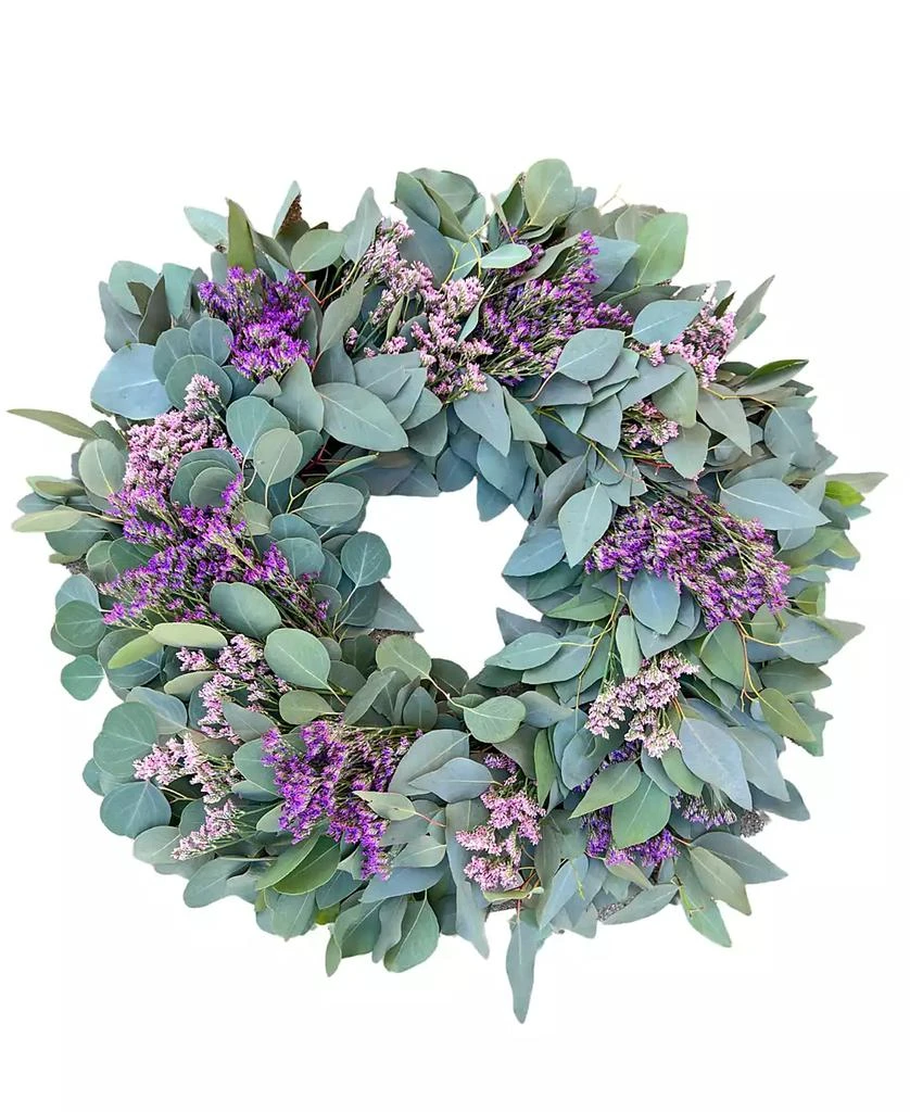 商品GreenishBlu|Real Misty Flower Limonium Fresh Spring Wreath, 20",价格¥688,第1张图片