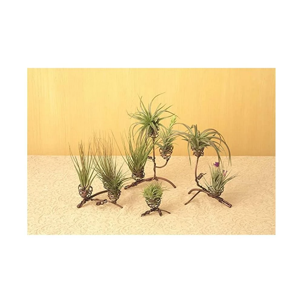 商品Ancient Graffiti|Standing Double Air Planter, Metal, 8in,价格¥228,第3张图片详细描述