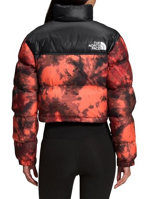 Printed Nuptse Short Jacket商品第4张图片规格展示