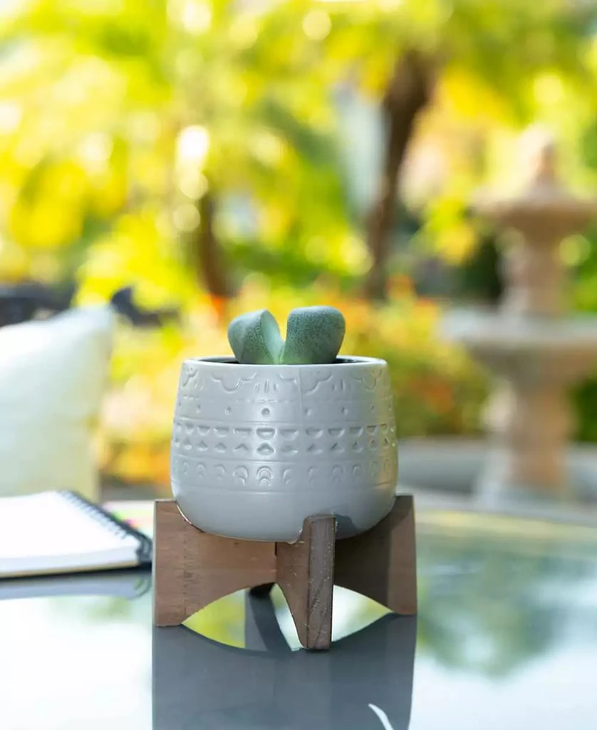 商品Flora Bunda|Mayan Ceramic Planter on Stand, 4.75",价格¥243,第3张图片详细描述