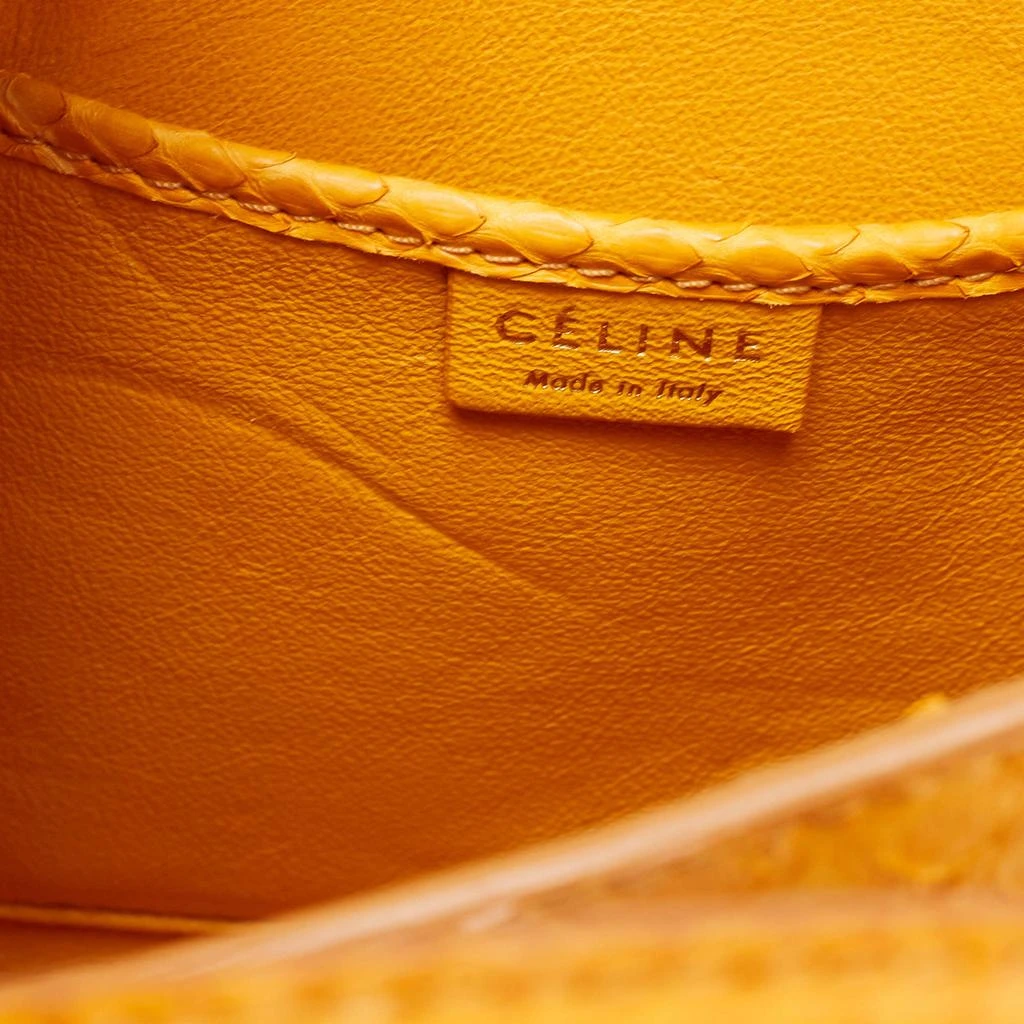 Celine Mustard Python Nano Luggage Tote 商品