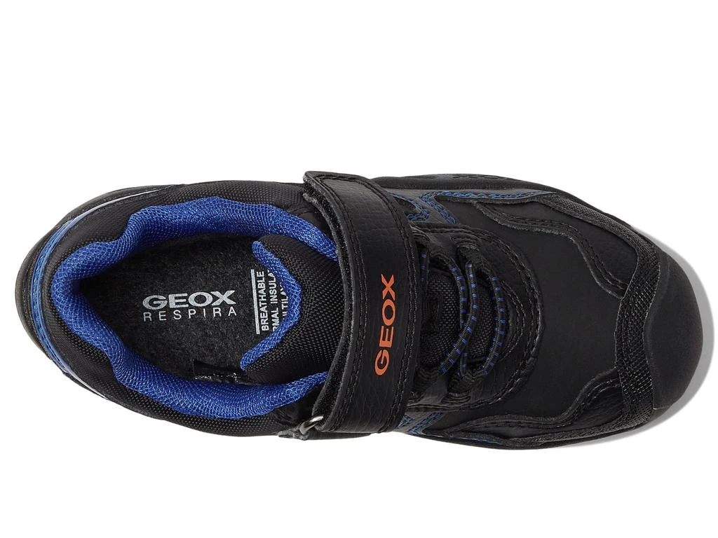 商品Geox|New Savage ABX 12 (Toddler/Little Kid/Big Kid),价格¥707,第2张图片详细描述