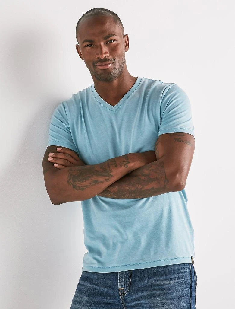 Mens Venice Burnout V-Neck Tee. 商品