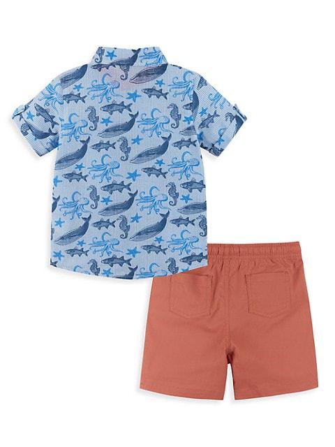 Little Boy's 2-Piece Oxford Short-Sleeve Shirt & Shorts Set商品第2张图片规格展示