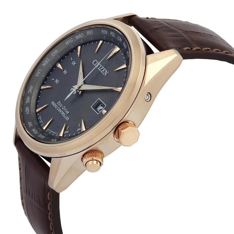 商品Citizen|Perpetual World Time GMT Eco-Drive Grey Dial Men's Watch CB0273-11H,价格¥2402,第2张图片详细描述