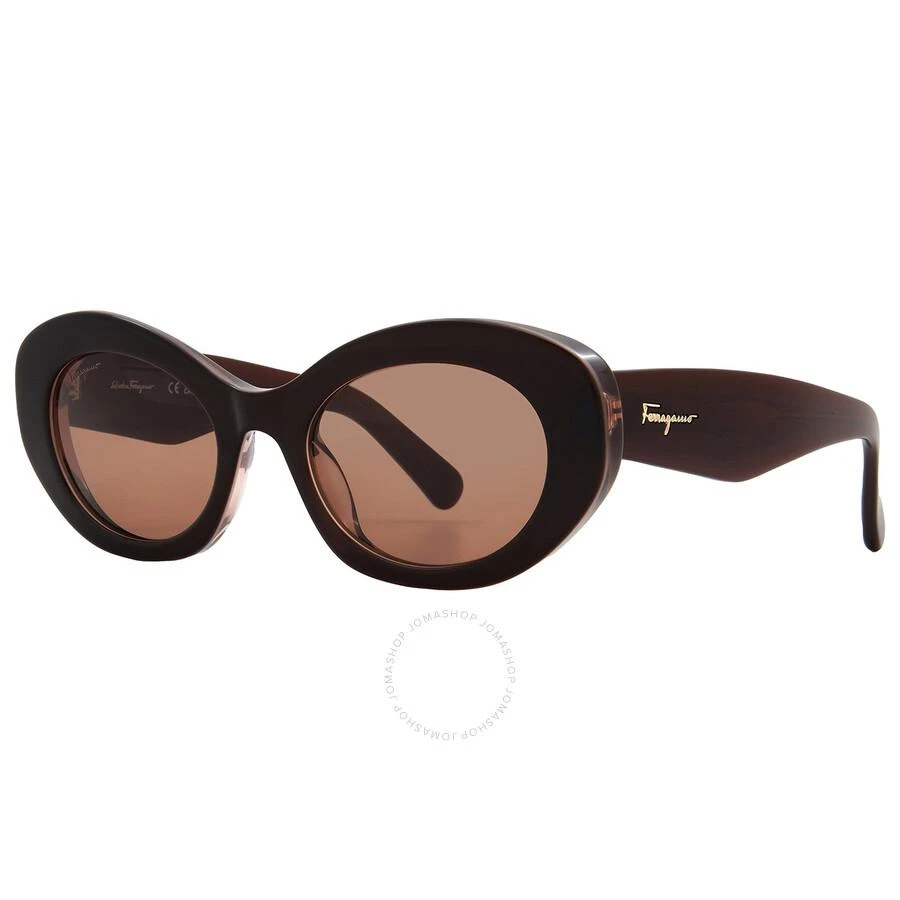 商品Salvatore Ferragamo|Brown Oval Ladies Sunglasses SF1080S 211 53,价格¥590,第2张图片详细描述