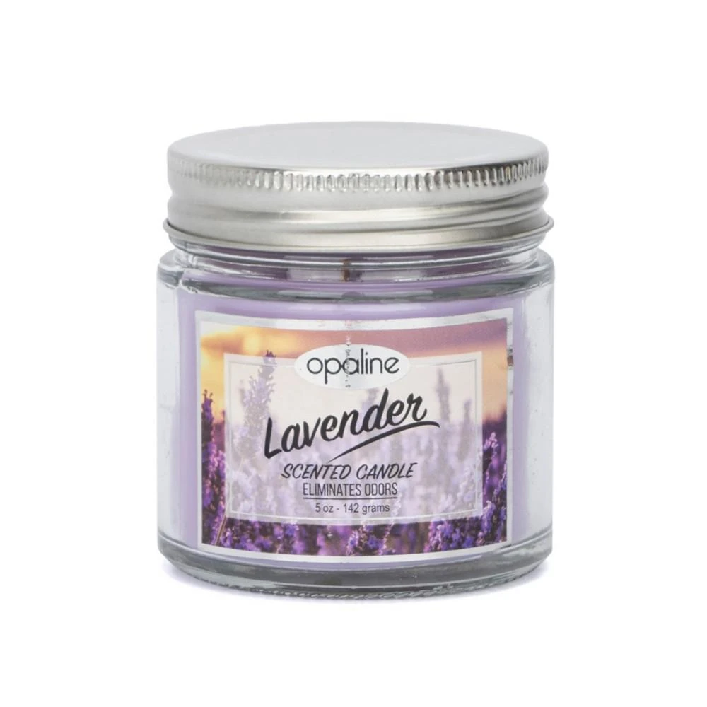 商品Hybrid & Company|Aromatherapy Natural Soy Lavender Scented Jar Candle,价格¥112,第1张图片