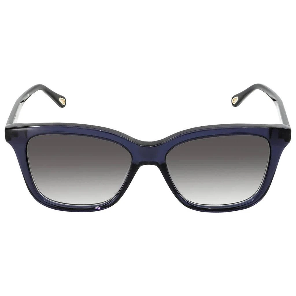 商品Chloé|Grey Rectangular Ladies Sunglasses CH0079S 003 56,价格¥1033,第2张图片详细描述