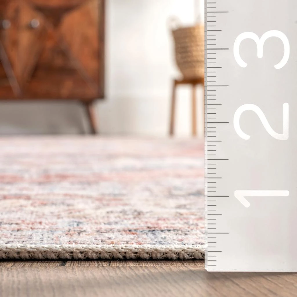 商品nuLOOM|Desna Machine Washable Faded Vintage Area Rug,价格¥224,第5张图片详细描述