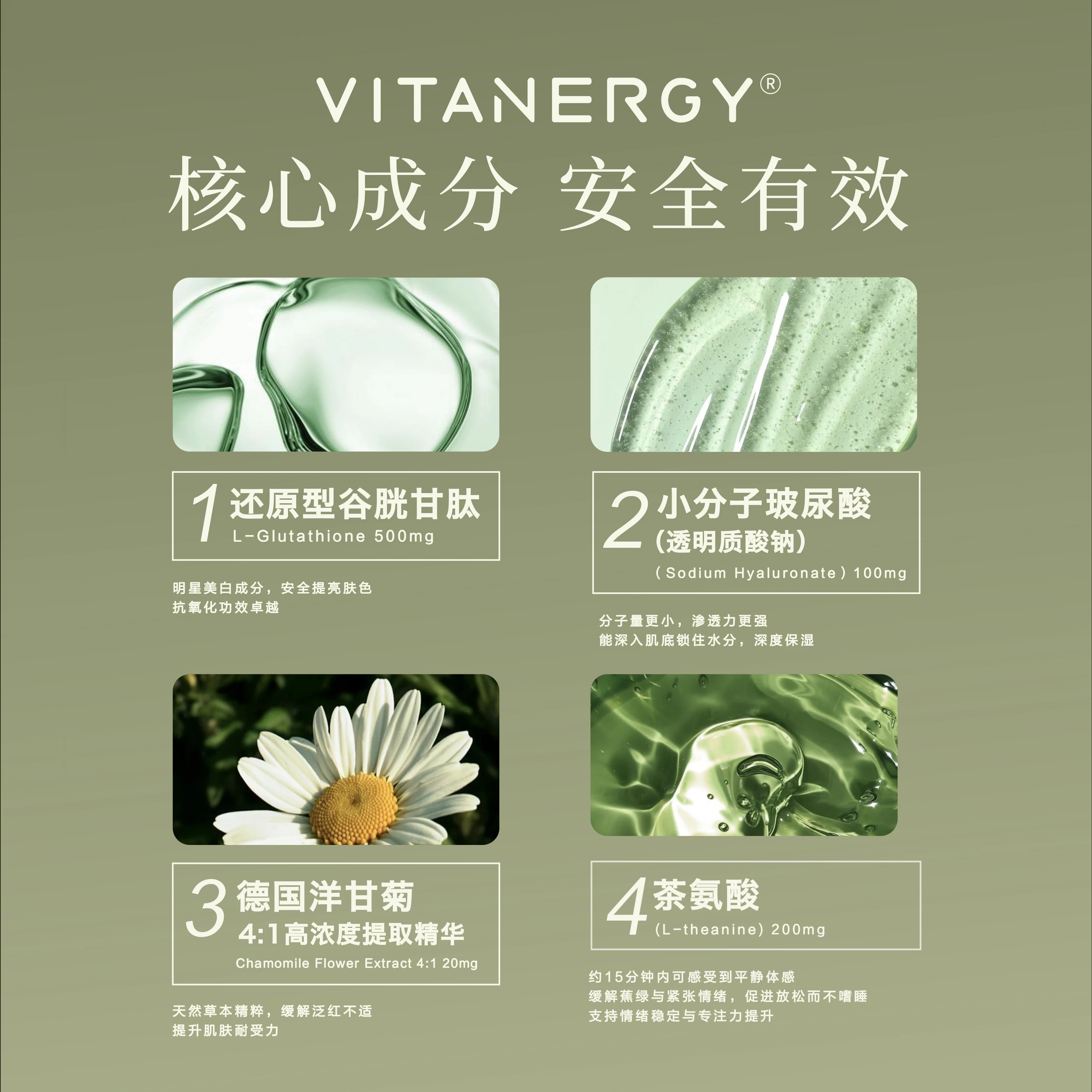 加拿大Vitanergy维生能28天晚安发光瓶旅行装 14粒/盒  | Vitanergy Rejuvenate & Glow 4 IN 1 14caps 商品