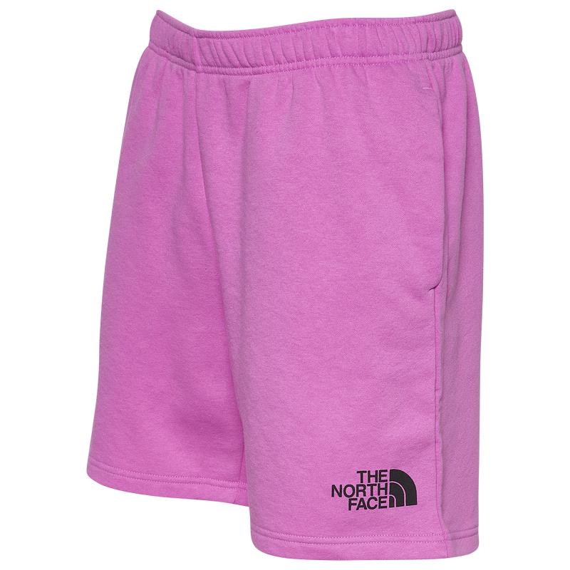 The North Face Energy Fleece Shorts - Men's商品第1张图片规格展示