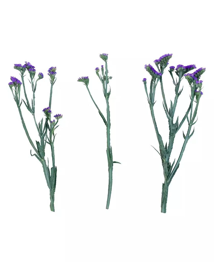 商品Magnolia Supply Co|Fresh Purple Statice Bundle,价格¥299,第2张图片详细描述