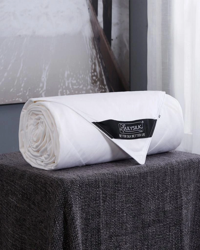 商品LILYSILK|Washable Cotton Covered Silk Comforter,价格¥1204,第2张图片详细描述
