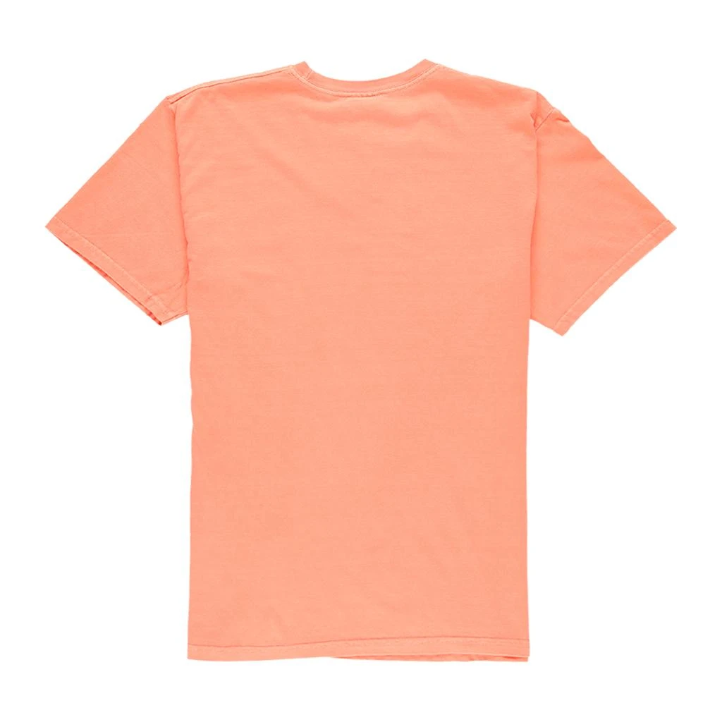 商品STUSSY|Basic Logo Pigment Dyed T-Shirt,价格¥342,第2张图片详细描述