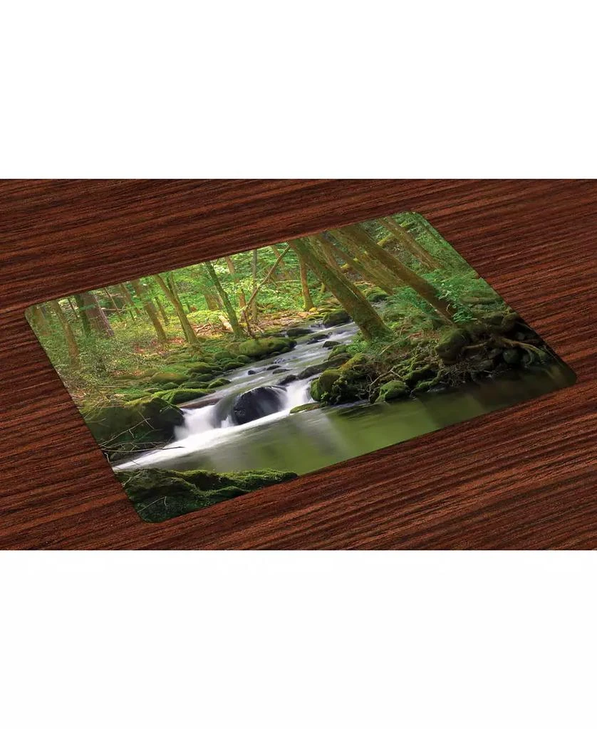 商品Ambesonne|Nature Place Mats, Set of 4,价格¥225,第1张图片